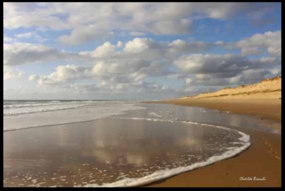 Site de Clotilde, Photographe